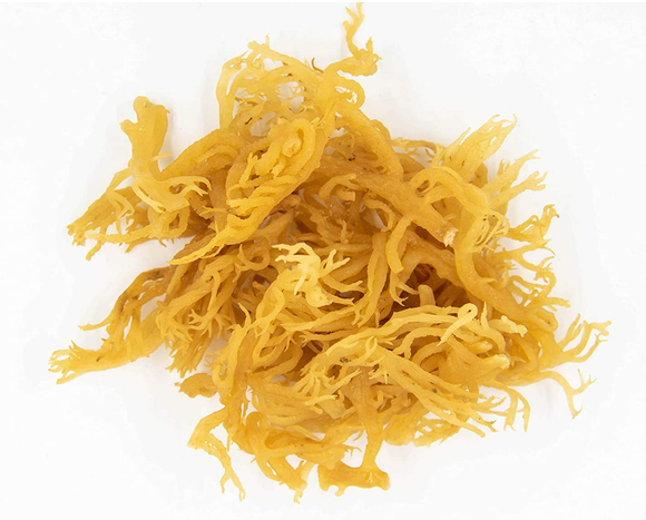 Sea Moss